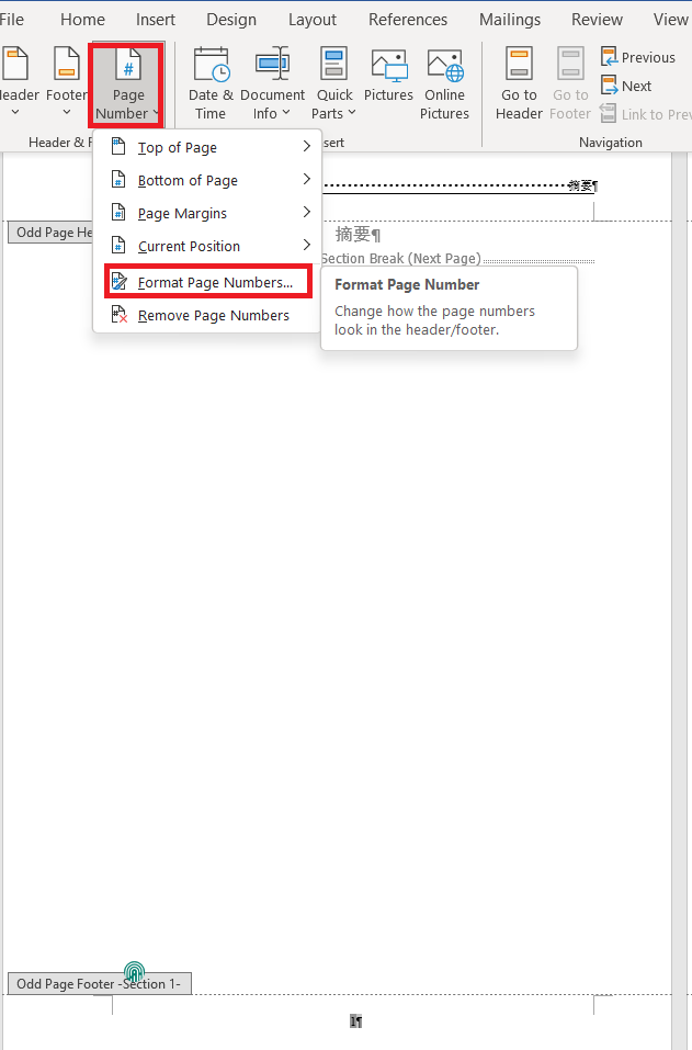 Setting the page number before the text as Roman numerals entry point